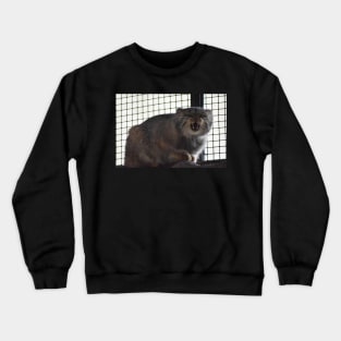 Angry Pallas Cat Crewneck Sweatshirt